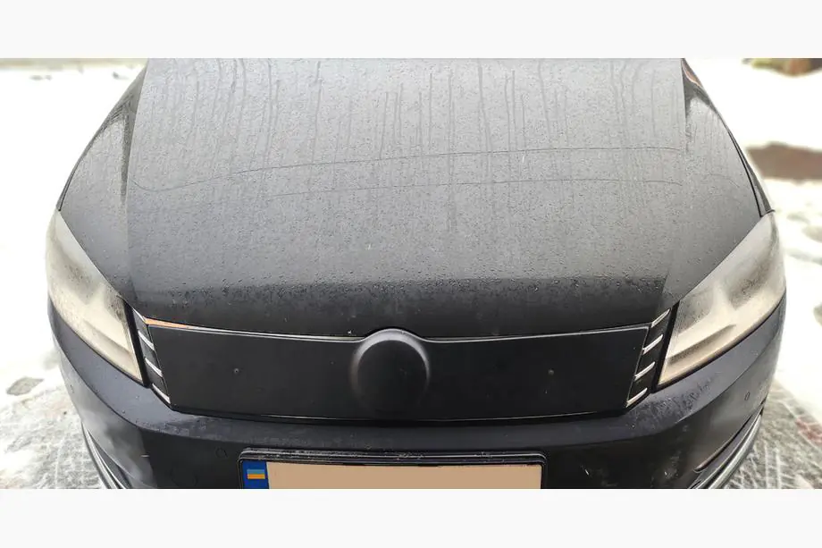 Volkswagen Passat B5 1997-2005 Winter grille (2001-2005) Image