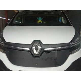 Winter grille cover (2015-2020) photo 2