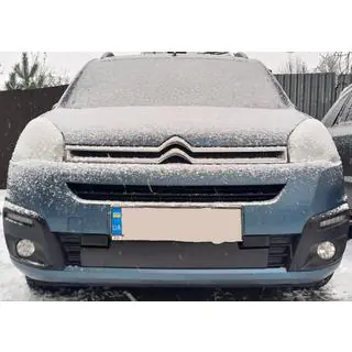 Winter grille (2015-2018)