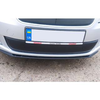 Winter grille cover (2011-2014, lower) photo 1