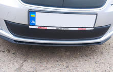 Skoda Roomster 2006-2015 Winter grille cover (2011-2014, lower) Glossy photo 1