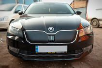 Skoda Superb 2015-2024 Winter grille cover (2015-2019, upper) Glossy photo 2