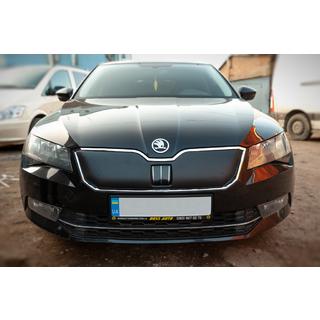 Winter grille cover (2015-2019, upper) photo 2