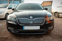 Skoda Superb 2015-2024 Winter grille cover (2015-2019, lower) photo 2