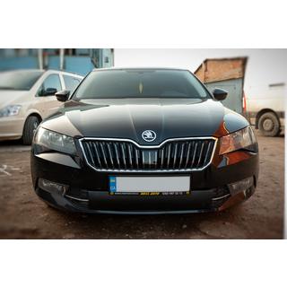 Winter grille cover (2015-2019, lower) photo 1