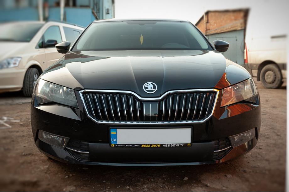 Skoda Superb 2015-2024 Winter grille cover (2015-2019, lower) Image