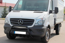 Mercedes Sprinter W906 2006–2018 Bull Bar WT003 (black) photo 1