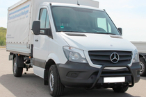 Mercedes Sprinter W906 2006–2018 Bull Bar WT003 (black) photo 3