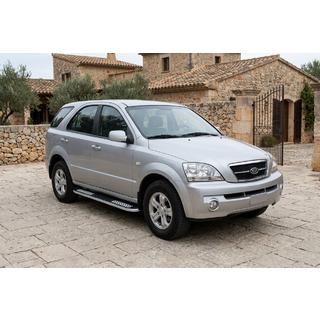 Side Steps Tayga V2 (2 pcs, Aluminum) photo 1