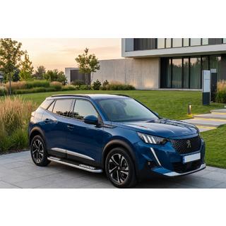 Side Steps Tayga V2 (2 pcs, Aluminum) Peugeot 3008 2016-2023 photo 1