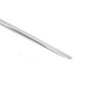 Chrome trim above license plate (lower, stainless steel) photo 4