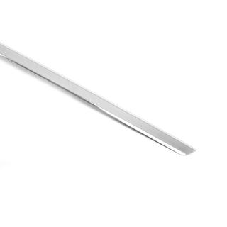Chrome trim above license plate (Sedan, stainless steel) photo 3