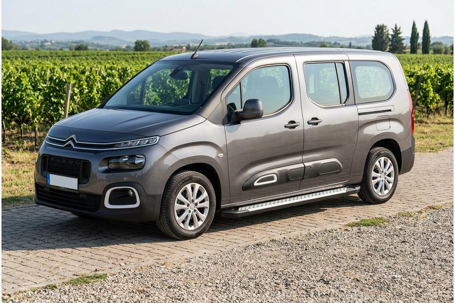 Citroen Berlingo/Multispace 2018- Side Steps Allmond Grey (2 pcs, Aluminum) Image