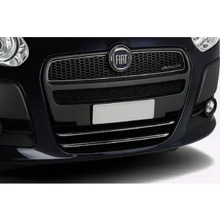 Lower grille trim (2010-2015, 2 pcs, stainless steel) photo 1