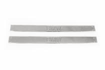 BMW Carmos Door Sill Protectors (2 pcs, Stainless Steel) photo 2