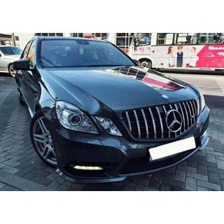 Front Grille GT Panamericana (2009-2012) photo 4