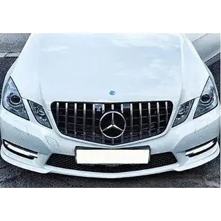 Front Grille GT Panamericana (2009-2012) photo 3