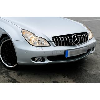 Front Grille (2008-2010, GT Panamericana) Mercedes CLS C219 2004-2010 photo 1