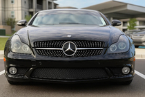 Mercedes CLS C219 2004-2010 Front Grille (2008-2010, Diamond Silver) photo 1