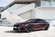 Review of sports sedan BMW M8 Gran Coupe photo 10