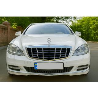 GT Panamericana Front Grille (2009-2013) photo 1