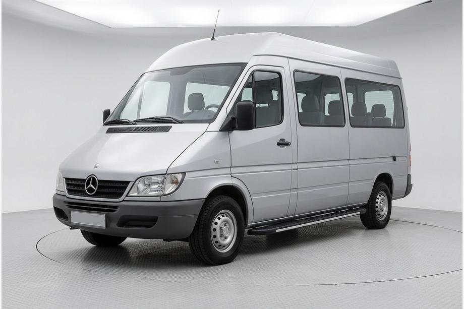 Mercedes Sprinter W901/902/903/904/905 1995–2006 Side Steps Bosphorus Grey (2 pcs, Aluminum) Image