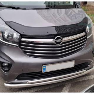 Hood Deflector (EuroCap) photo 2