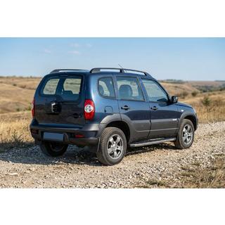 Side Steps BlackLine (2 pcs, Aluminum) photo 1