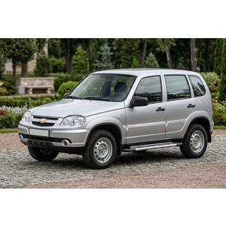 Side Steps New Vision Grey (2 pcs, Aluminum) photo 1