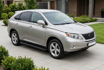 Lexus RX 2009-2015 Side Steps Allmond Black (2 pcs, Aluminum) photo 1