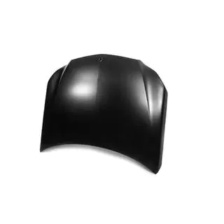 Hood (Facelift) photo 1