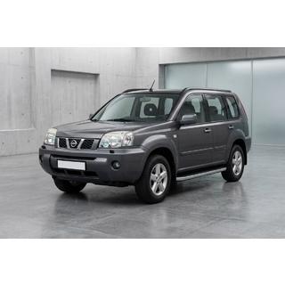 Side Steps Tayga Grey (2 pcs, Aluminum) photo 1