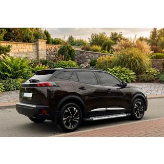 Side Steps New Vision Grey (2 pcs, Aluminum) Peugeot 3008 2016-2023 photo 1