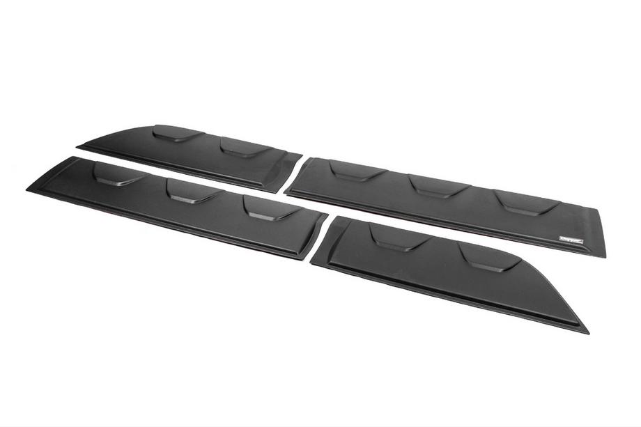 Renault Sandero 2013-2022 Door Moldings (4 pcs, ABS) Photo 9