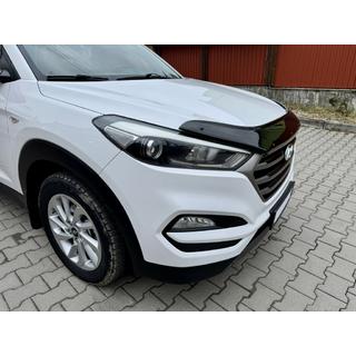 Hood Deflector (EuroCap) photo 3