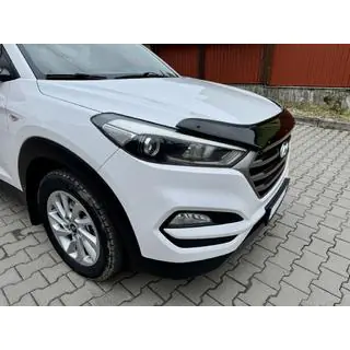 Hood Deflector (EuroCap) photo 3