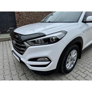 Hood Deflector (EuroCap) photo 4