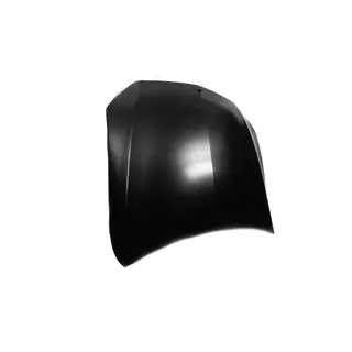 Hood (Aluminum) photo 2