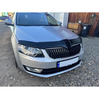 Hood Deflector 2013-2017 (EuroCap) photo 3