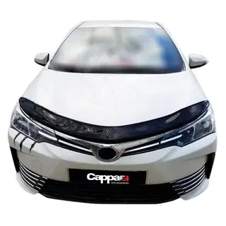 Hood Deflector (EuroCap) photo 2