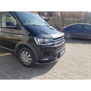 Hood Deflector Carbon Look (EuroCap) photo 4