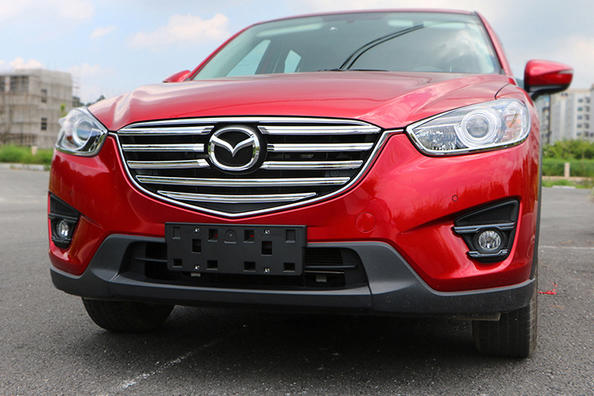 Chrome trim for radiator grille