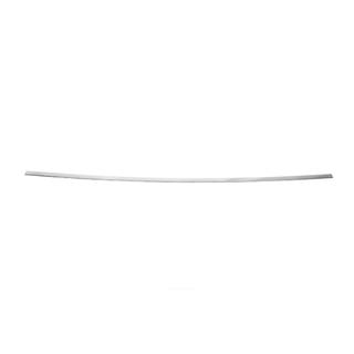Chrome trim above license plate (stainless steel) photo 1