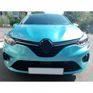 Chrome Grille Covers (2 pcs) photo 1