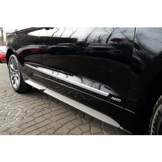 Chrome Door Moldings (4 pcs, Stainless Steel) photo 1