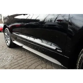Chrome Door Moldings (4 pcs, Stainless Steel)