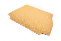 BMW X5 E53 1999–2006 Trunk Mat (EVA, Beige) photo 2