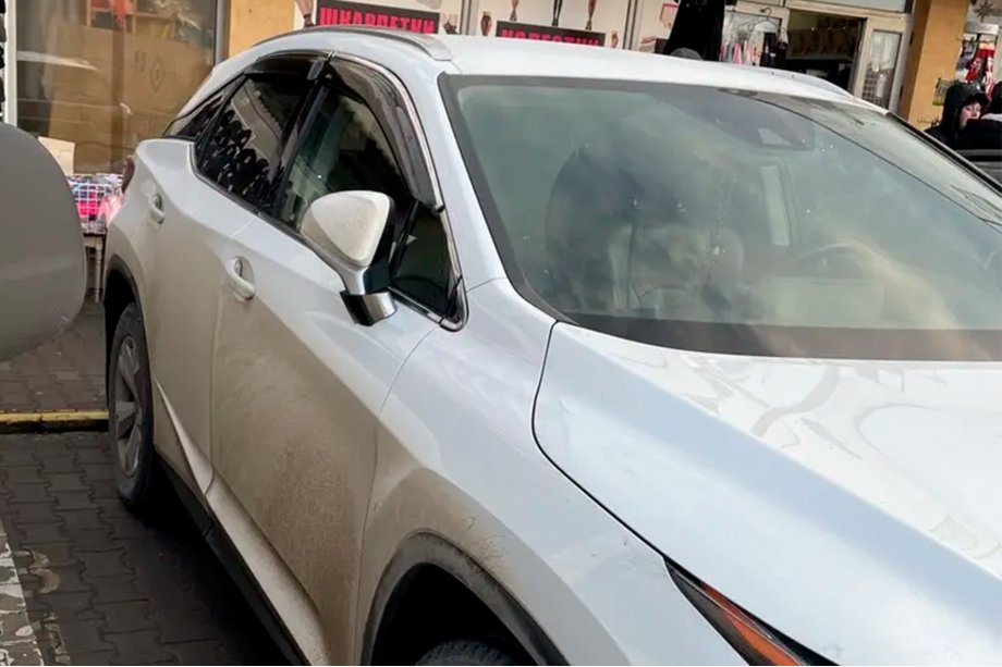 Lexus RX 2016-2022 Window deflectors with chrome trim LONG (4 pcs, HIC) Image
