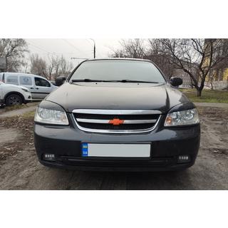 Winter grille (lower) photo 3