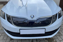 Skoda Octavia III A7 2013-2019 Winter grille (2017-2020) photo 1